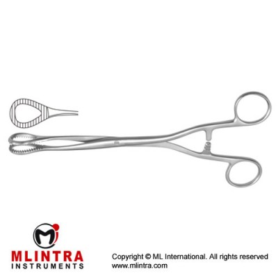 Heywood-Smith Sponge Holding Forcep Straight Stainless Steel, 20 cm - 8"